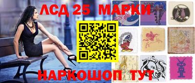 гидропоника Краснознаменск