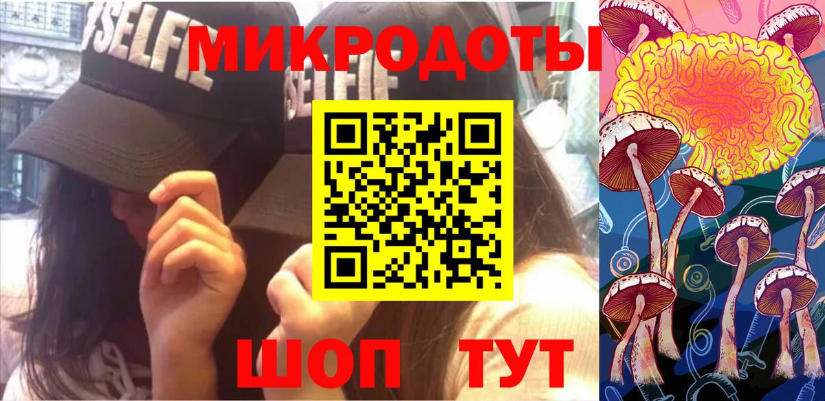 Галлюциногенные грибы Psilocybe Кинель