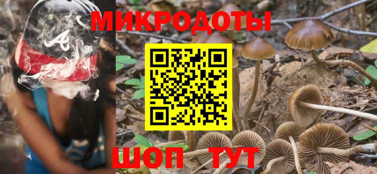 Псилоцибиновые грибы Psilocybine cubensis  сколько стоит  Кинель  Вход с VPN  Псилоцибиновые грибы мухоморы 